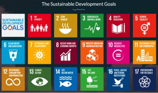 Sustainable Development Goals