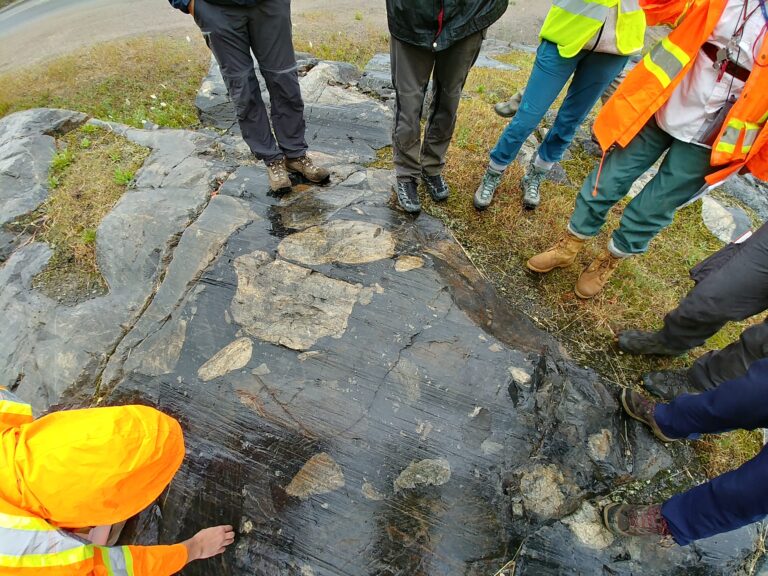 Sudbury Breccia - Evidence for a large impact: All around the Sudbury structure, the rocks were frac-tured to form fragments of rock surrounded by a dark matrix of pulverized, almost glass-like (“pseudotachy-litic”) rock. (photo credit: Kamil Bulcewicz)