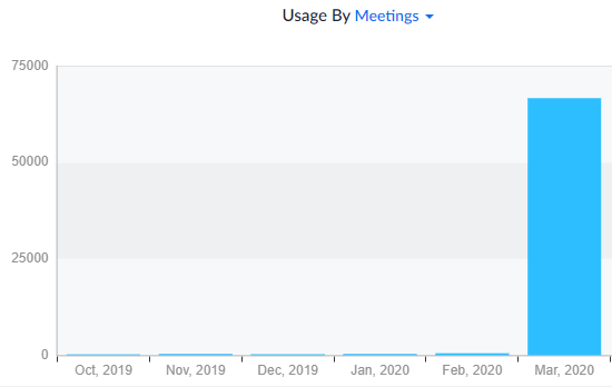 Zoom Meetings der letzten Monate